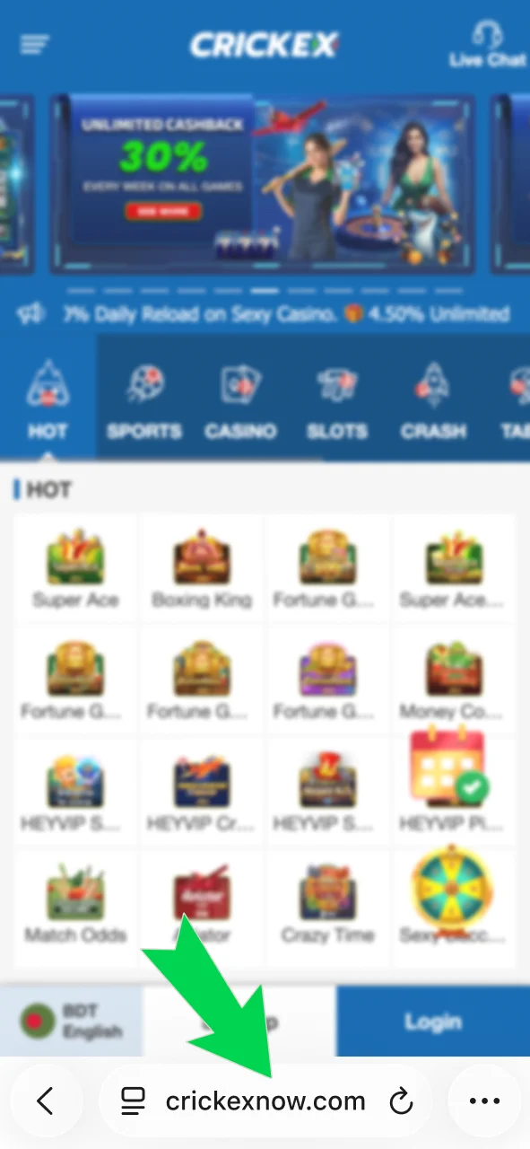 Open Safari and visit the Crickex website to start setup.