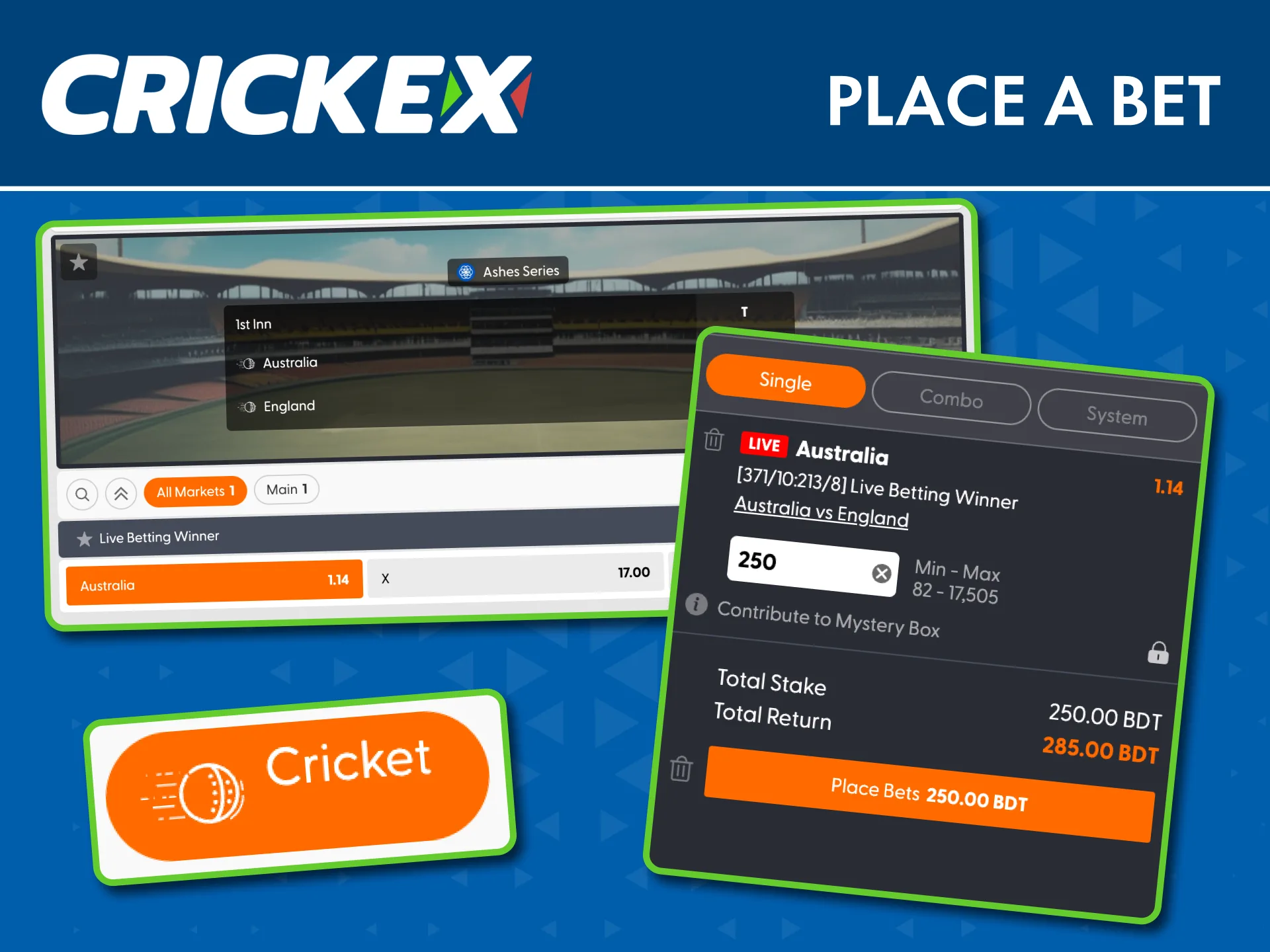Deposit, select a match, and confirm your cricket bet on Crickex.