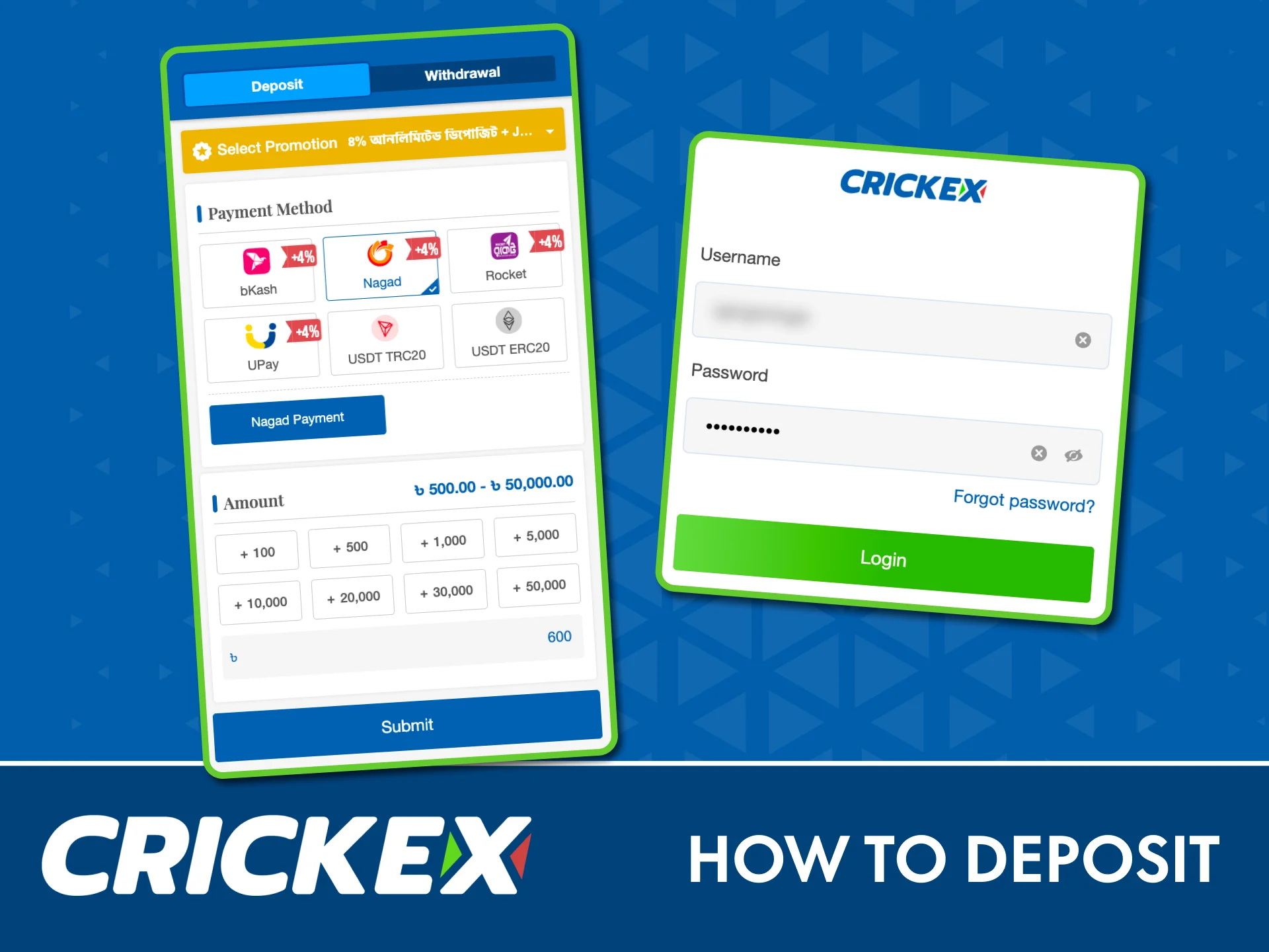 Log in, choose a payment method, and fund your Crickex balance securely.